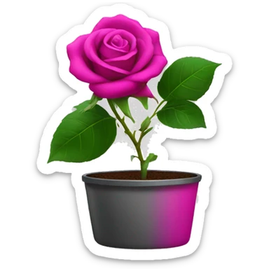 A rose in a pot, fuchsia colour sticker