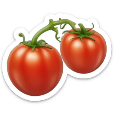 Tomate sticker