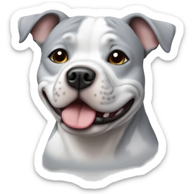 Standing Small grey Staffordshire bull terrier with a white j on his chest sticker
