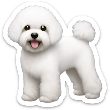 Bichon frise sticker