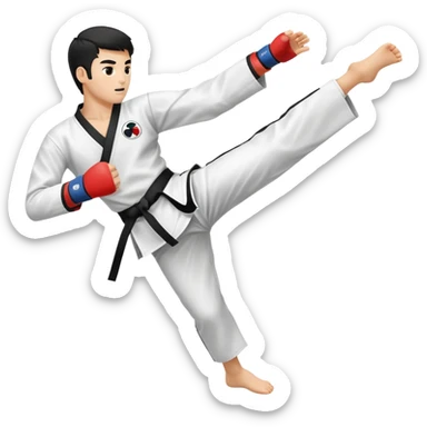 taekwondo kick sticker