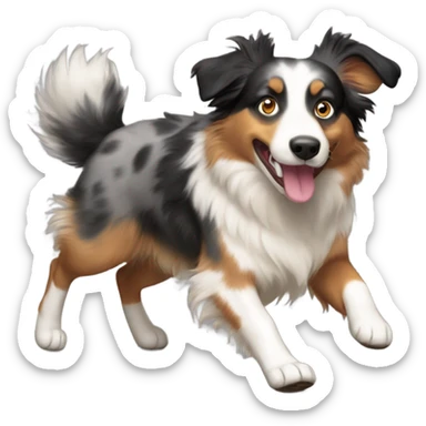 Australian Shepard run  sticker