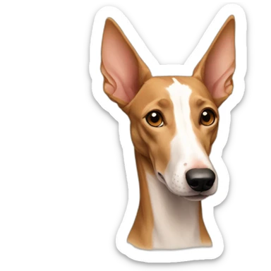 podenco sticker