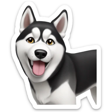 Husky black and white sticking out tongue  sticker