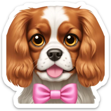cavalier king charles spaniel dog wearing a pink bow sticker