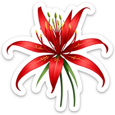 Red spider lily  sticker