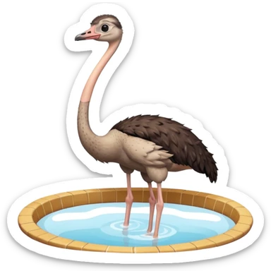 ostrich doing a split on dih? sticker