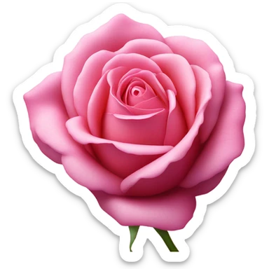 Rosa sticker