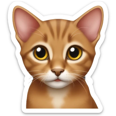 a kitten of the red color of the Abyssinian breed sticker