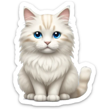 White and beige fluffy cat with blue eyes  sticker