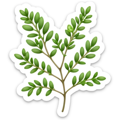 Cinematic Realistic Thyme Emoji, Compact and earthy, with tiny green leaves densely packed on delicate stems. The soft fragrance of the leaves fills the air, creating an atmosphere of warmth and subtle richness. Soft glowing outline, capturing the essence of simplicity and natural healing in a sprig of thyme! sticker