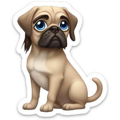 Girl with brown straight long hair and blue eyes with pug sticker