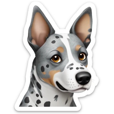 Blue eyed Australian cattle dog grey and white spotted no brown sticker
