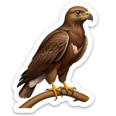 Common Buzzard sticker