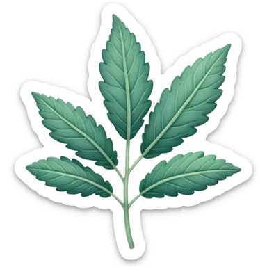 single clary sage plant leaf in bluey green colour sticker