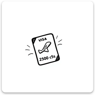 hand-drawn lines doodle style visa stamp, no background sticker