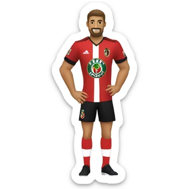 Escudo do flamengo  sticker