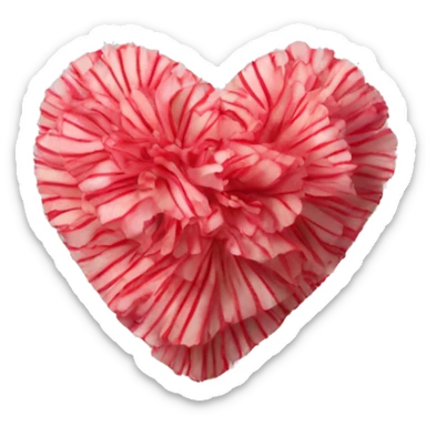 Heart made of striped carnation sticker