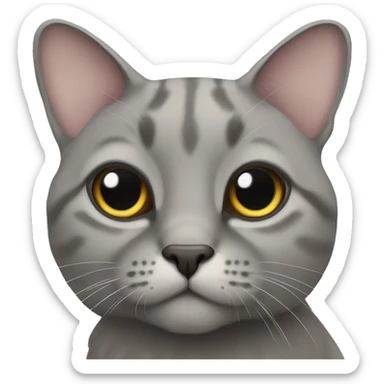 Scottish lop-eared gray cat sticker
