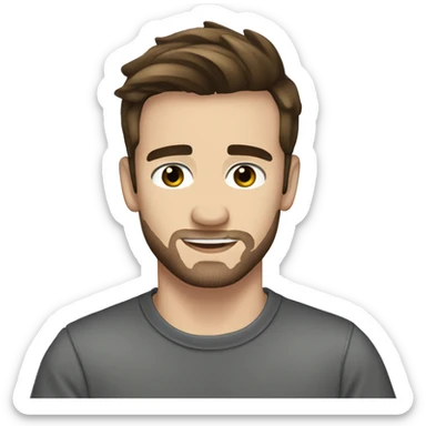Liam Payne sticker