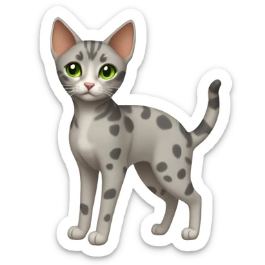 Short-haired oriental cat ,full body , grey coat with spots , green eyes , terracotta nuzzle sticker