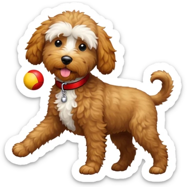 Labradoodle with black collar catching a red and yellow ball sticker