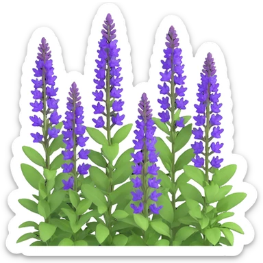 3D iOS cartoon style Salvia nemorosa emphasizing volume and cartoonishness, bright purple flowers, rich greenery, soft light reflections, transparent background sticker