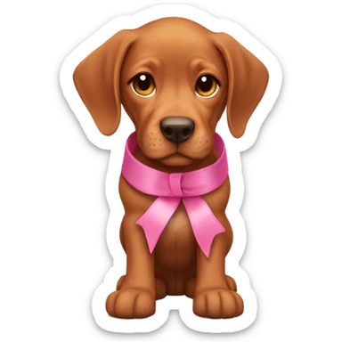 A female vizla puppy with a pink ribbon around her neck and cowboy boots on sticker