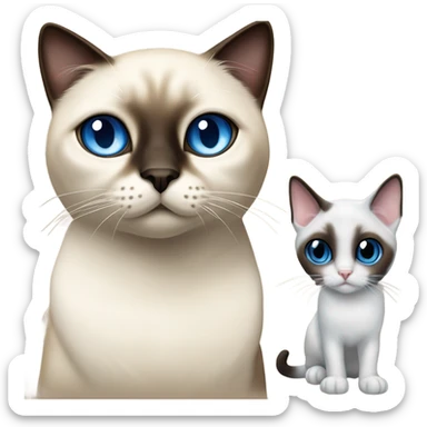 1 Siamese cat and 1 snowshoe cat  sticker