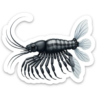 Coal bandit shrimp sticker