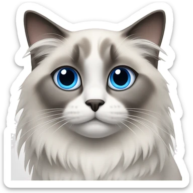 ragdoll cat, grey center face, blue eyes, grey tipped ears sticker