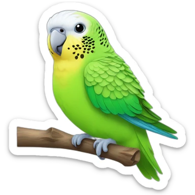 budgies parrot  sticker