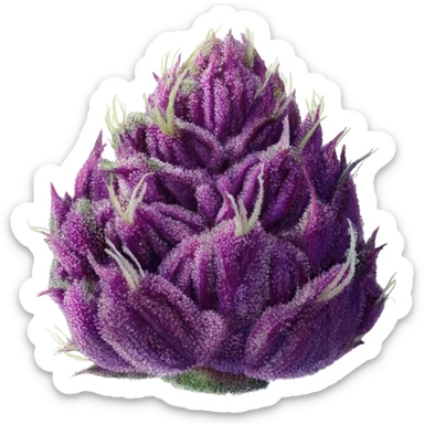 Purple weed nug sticker