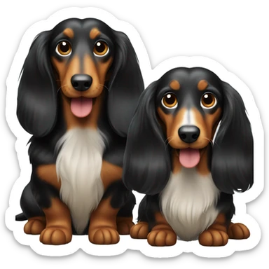 What and black long haired dachshunds  sticker