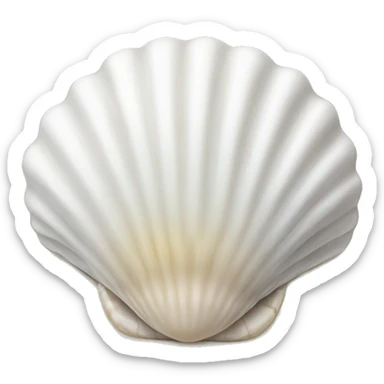 white seashell sticker