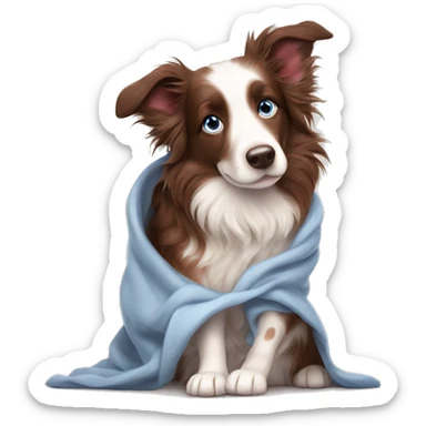 Red merle border collie blue eyes cozy in blanket sticker