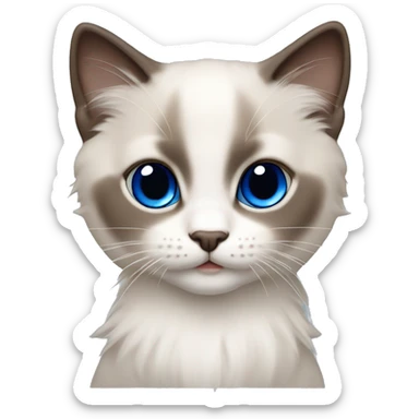 Ragdoll kitten with brown nose and face royal blue eyes sticker