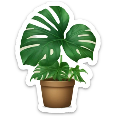 Monstera plant  sticker