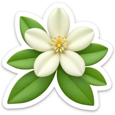iOS-style 3D emoji: a delicate jasmine flower with five white petals, soft yellow center, and glossy green leaves sticker