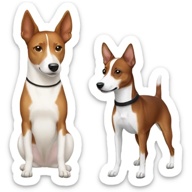 Chestnut  and white basenji with chestnut, black, and white basenji. sticker