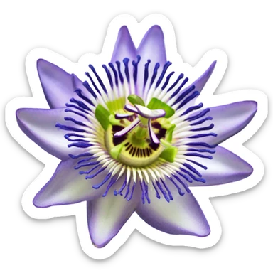 passion flower sticker
