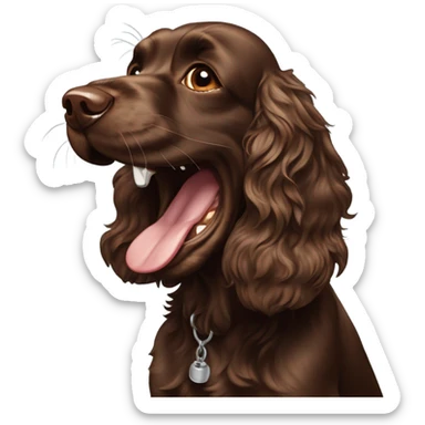 Chocolate brown cocker spaniel laughing sticker