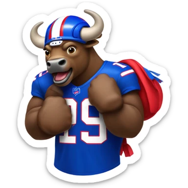 Go buffalo bills, JHM  sticker