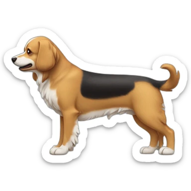 Chien épagneul poil long sticker