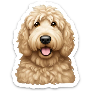 Standard fluffy Goldendoodle relaxing sticker