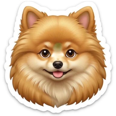 Create a golden pomeranian, all cute and adorable entire  only face and body  sticker