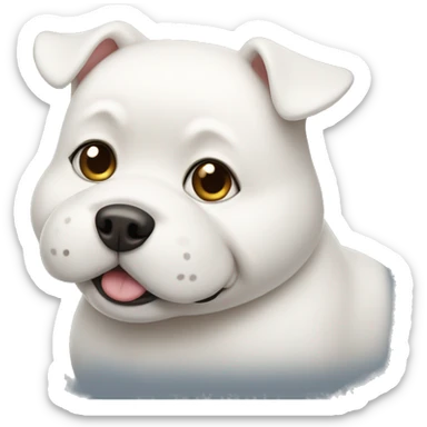 chubby white dog with a belly sticker