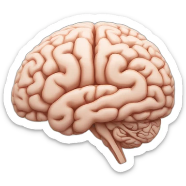 The human brain in a side few sticker