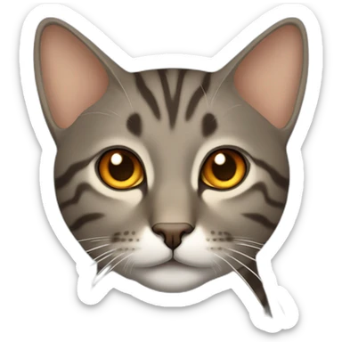 Tabby slightly brown gray cat with beige mouth and dark nose and orange golden eyes sticker