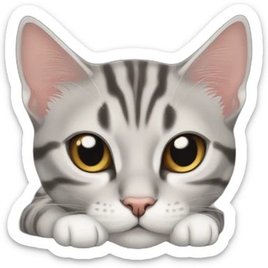 cat-American shorthair cathands-whole body-slee-lie down sticker